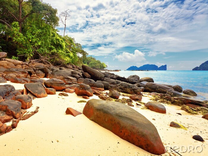 Fotobehang Kust met rotsen en de zee