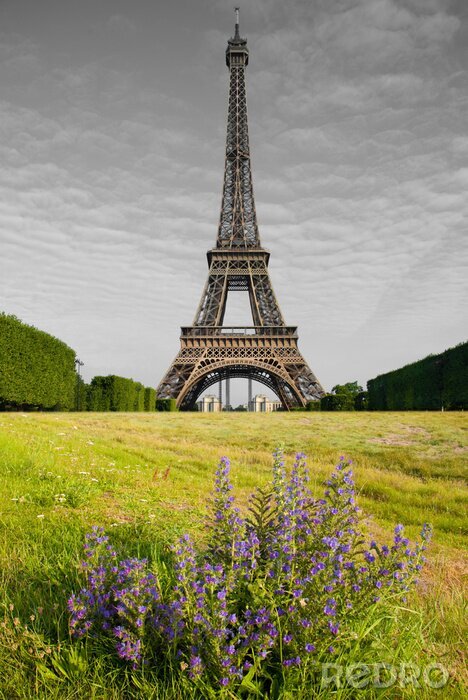 Fotobehang la Tour Eiffel