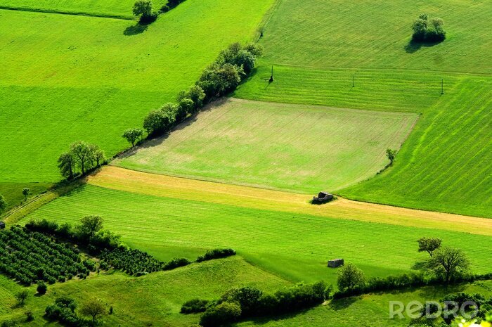 Fotobehang Landbouwgrond bovenaanzicht