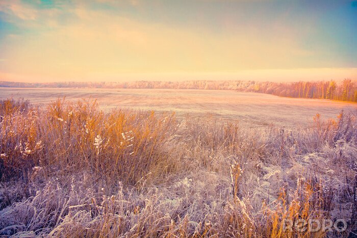 Fotobehang Landbouwgrond in de winter