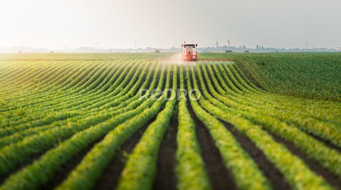 Fotobehang Landelijk landschap met een tractor