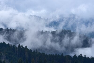 Fotobehang Landschap met bos achter de wolken