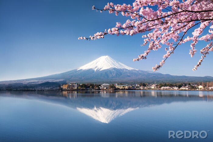 Fotobehang Landschap met de berg Fuji