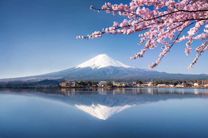 Fotobehang Landschap met de berg Fuji