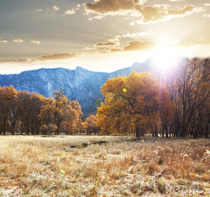 Fotobehang Landschap met een herfstpark