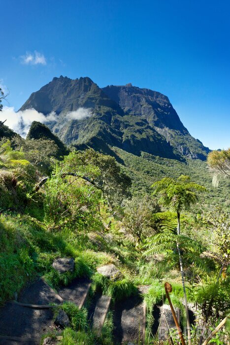 Fotobehang Landschap met een tropische berg