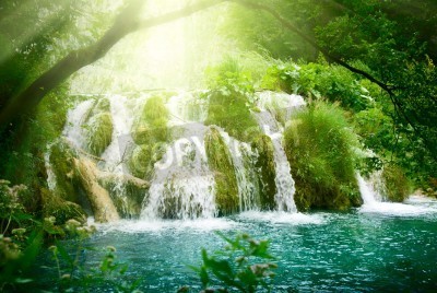 Fotobehang Landschap met een waterval in de jungle