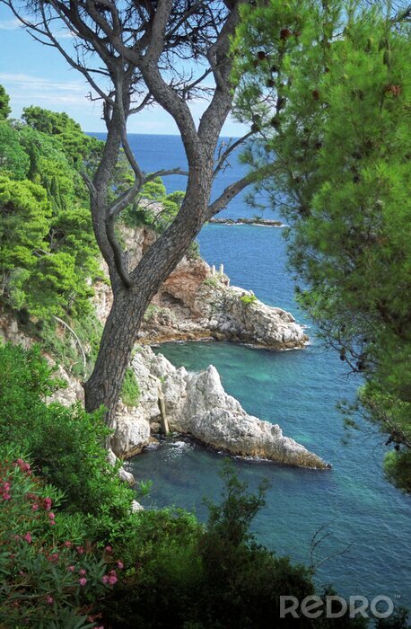 Fotobehang Landschap met Kroatische kust