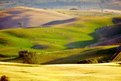 Fotobehang Landschap met Toscaans velden