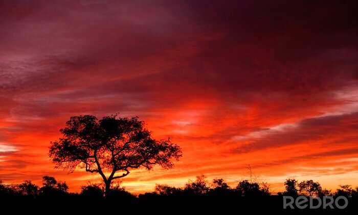 Fotobehang Landschap met zonsondergang in Afrika
