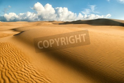 Fotobehang Landschap van de woestijn
