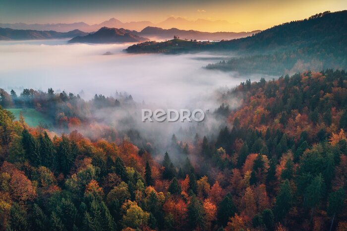 Fotobehang Landschap van een herfstbos in de mist van bovenaf gezien