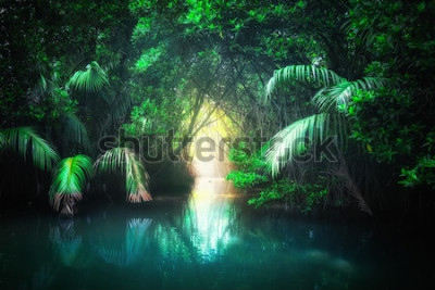 Fotobehang Landschap van een rivier in een tropische jungle met exotische planten