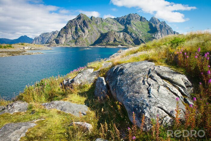 Fotobehang Landschap van Scandinavische weiden