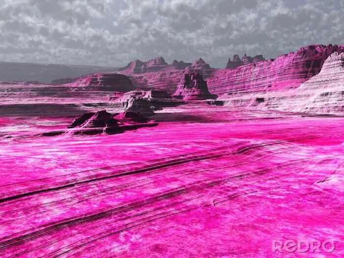 Fotobehang landt rozen