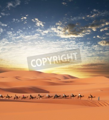 Fotobehang Lange karavaan in de woestijn