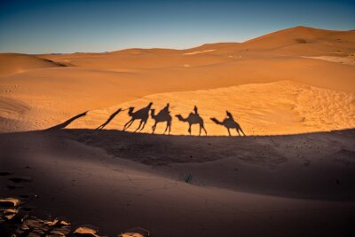 Fotobehang Lange schaduwen van de kameel caravan in de woestijn