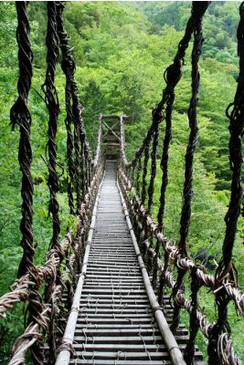 Fotobehang Lange touwbrug in de jungle