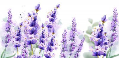 Fotobehang Lavendel bloemen close-up