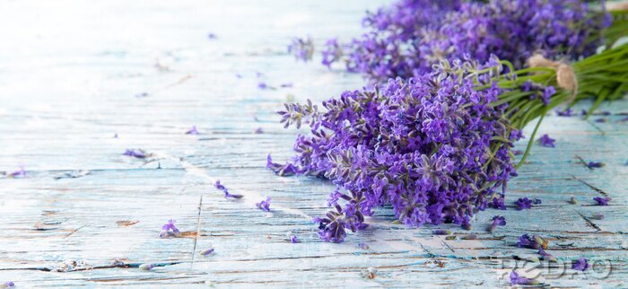 Fotobehang Lavendel op rustieke planken