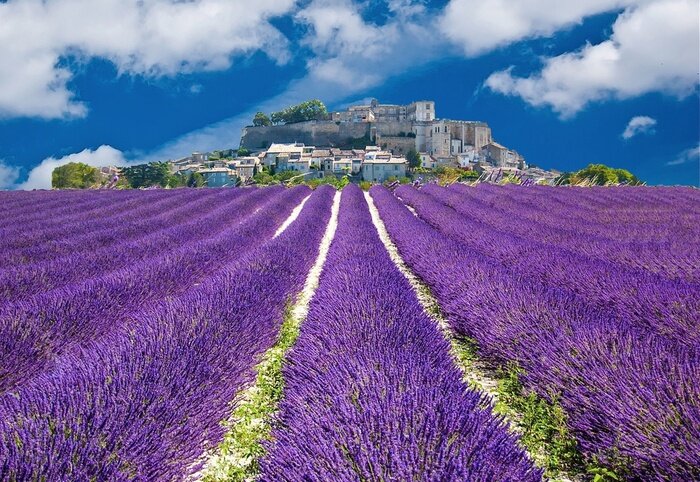Fotobehang Lavendel veld en stadje