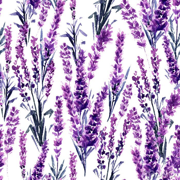 Fotobehang Lavendel veld naadloze patroon. Aquarel of Aquarelle Schilderijen van Provence Lavandula. Hand getrokken thee kruiden bloem. Zomerbloesem of gebladerte van tuinplant in Aquarelle. Natuur en parfum.