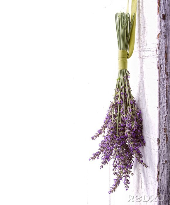 Fotobehang Lavendelboeket hangt naar beneden