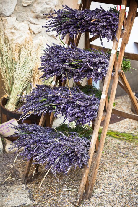 Fotobehang Lavendelboeketten op een ladder
