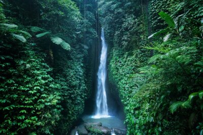 Fotobehang Leke Leke-waterval op Bali