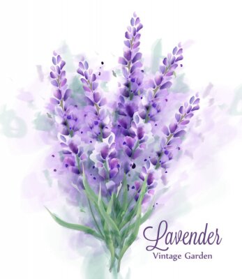 Lente aquarel lavendel boeket