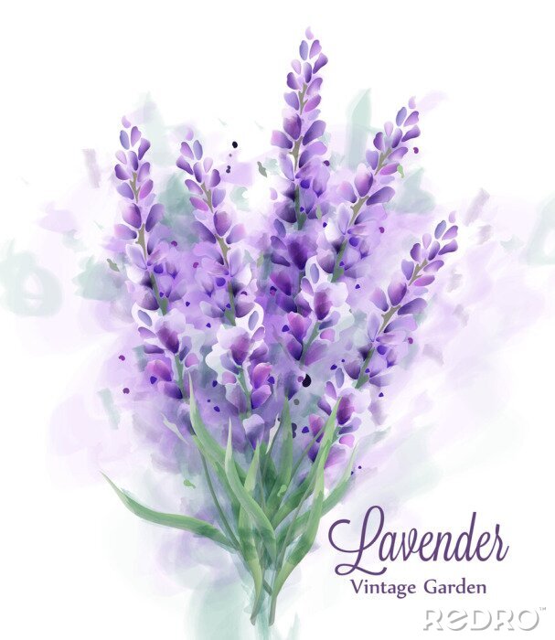 Fotobehang Lente aquarel lavendel boeket