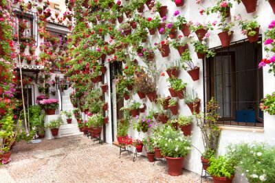 Fotobehang Lente Bloemen Decoratie van Old House Patio, Cordoba, Spanje