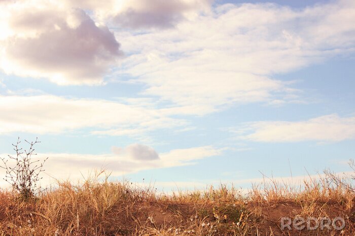 Fotobehang Lente weide landschap