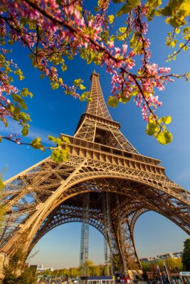 Fotobehang Lentebomen in Parijs