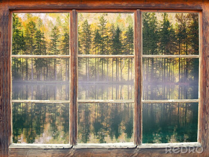 Fotobehang Lentebos buiten het raam