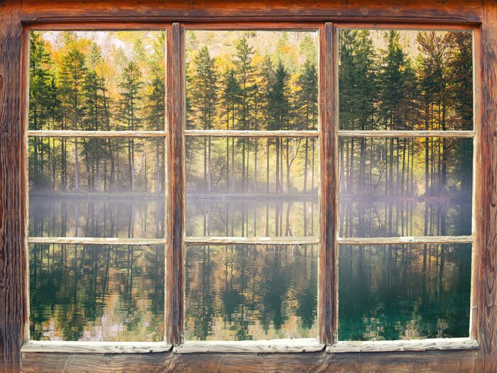 Fotobehang Lentebos buiten het raam