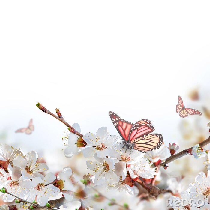 Fotobehang Lentelandschap met bloemen en vlinder