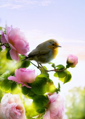 Fotobehang Lentelandschap met rozen en een vogel