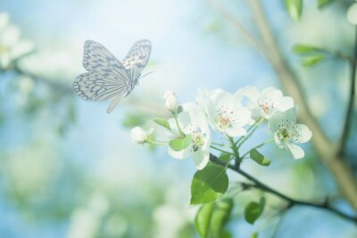 Lentelandschap met vlinder