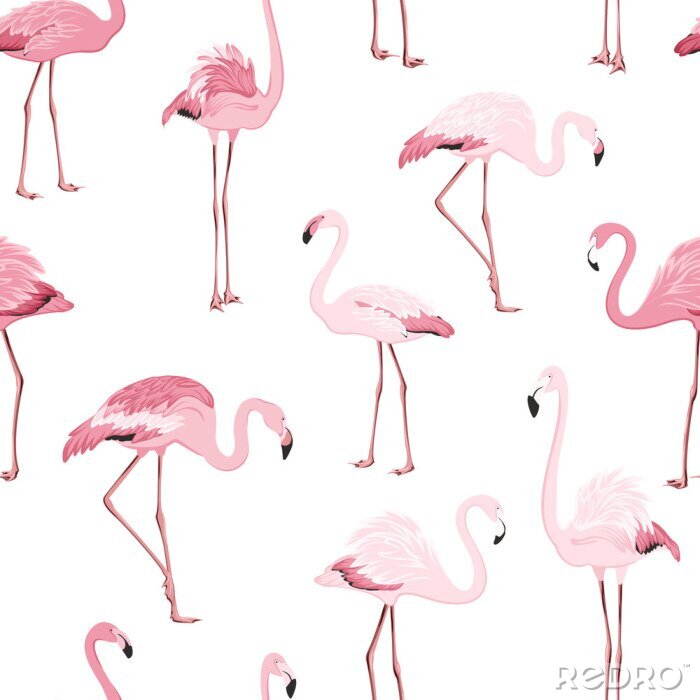 Fotobehang Lichtroze flamingo's op een motief met een witte achtergrond
