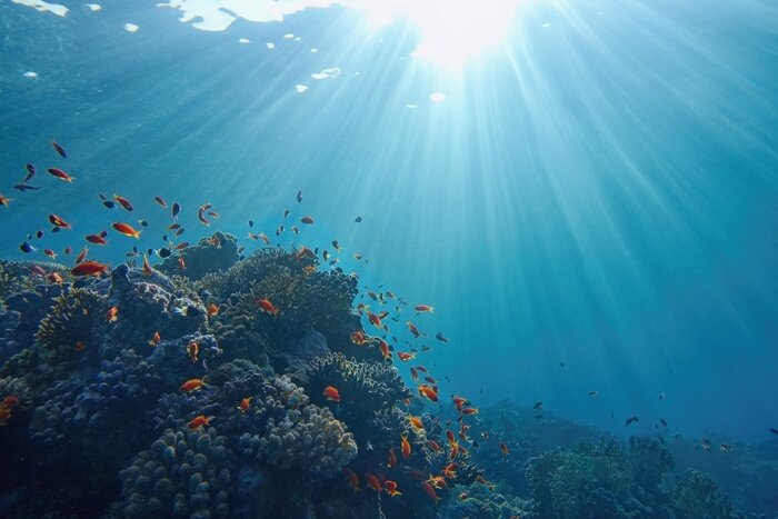 Fotobehang Life-giving sunlight underwater. Sun beams shinning underwater on the tropical coral reef. Ecosystem and environment conservatio