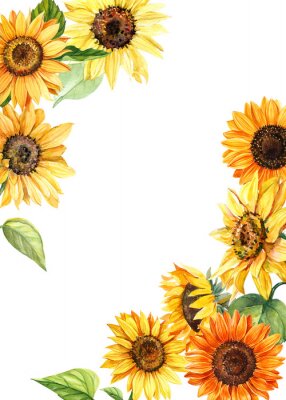 Fotobehang Lijst met aquarel zonnebloemen