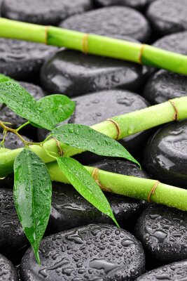 Liście z bambusami na kamieniach spa doen