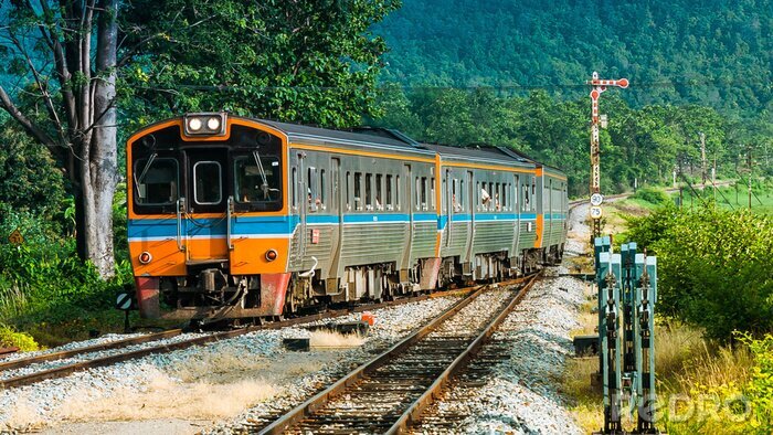Fotobehang Lokale passagierstrein was aankomen landelijk station, 2013.
