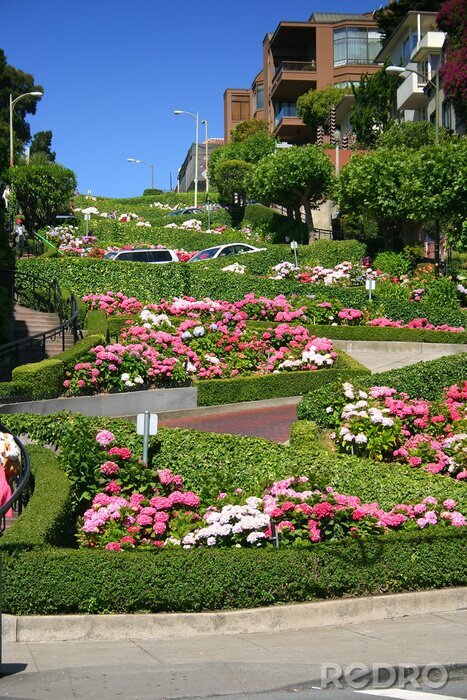 Fotobehang Lombard Street in San Francisco