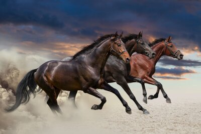Fotobehang Lopende groep paarden