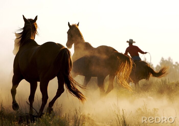 Fotobehang Lopende paarden in de wei