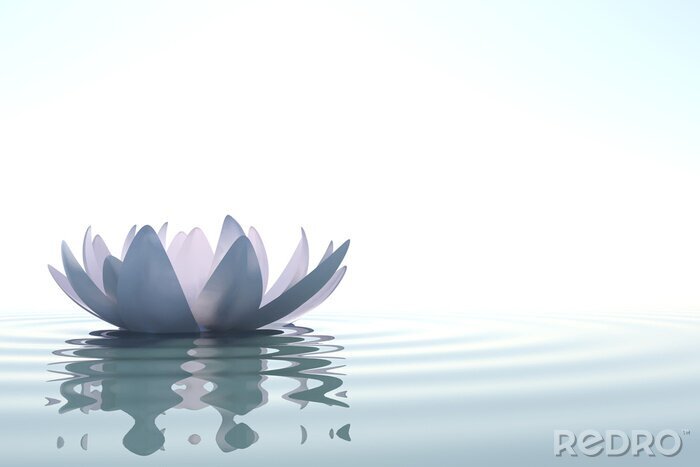 Fotobehang Lotus op het water
