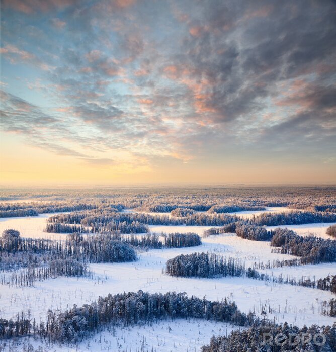 Fotobehang Lucht boven een winters bos