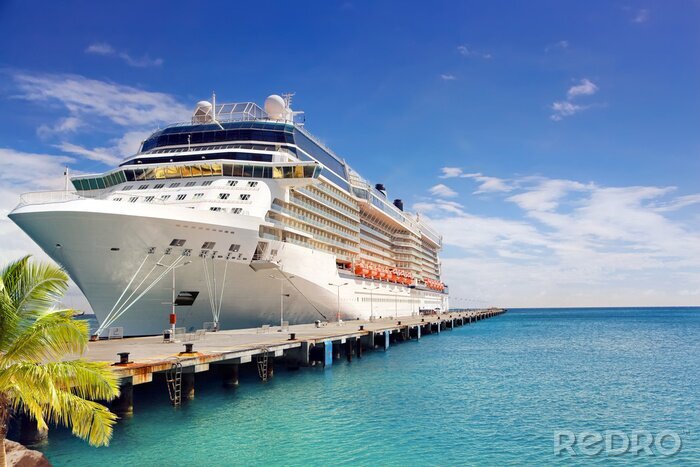 Fotobehang Luxe cruiseschip in Port